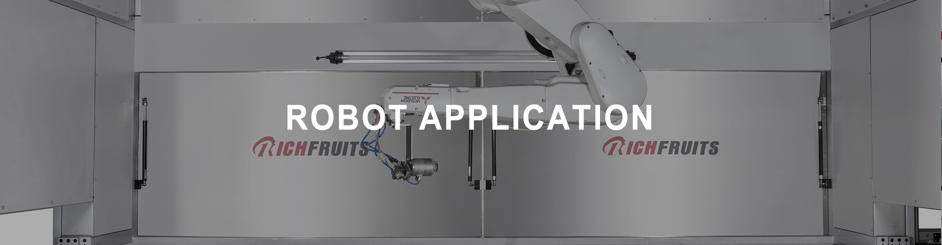 robot application